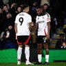 FollowFulhamAway's profile picture