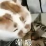 小色鬼 profil fotoğrafı
