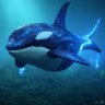 Profilbild von Orcinus Orca