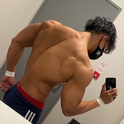 筋肉達磨's profile picture