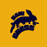 Bani Chess Bulletin's profile picture