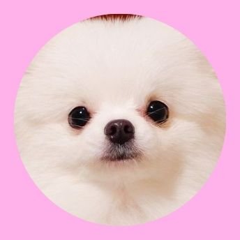 roroco_111's profile picture