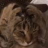 Profilbild von GY1NG