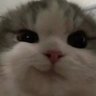 沖浪達人's profile picture