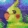 たかを/たかをん/Takawo 🎯 的头像