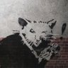 PaNRaT profil fotoğrafı