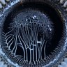 Фото профиля TacoGato