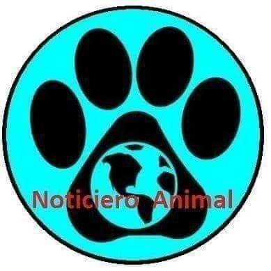 NOTICIERO ANIMAL ® 🐾's profile picture