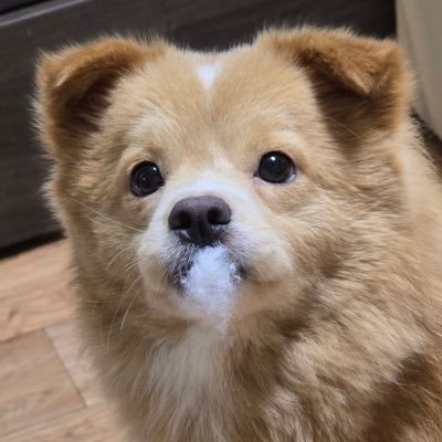 ttakbam_kim's profile picture