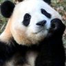 Nella's profile picture