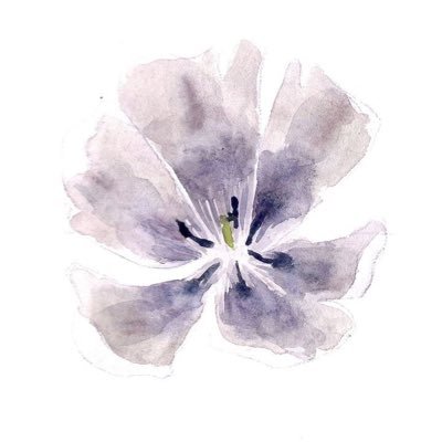 fitfcomfort's profile picture