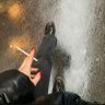 ZEN profil fotoğrafı