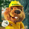 Ciencias Forestales's profile picture