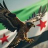 مهند حسين المحمد 的头像