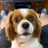 James Ebel's profile picture
