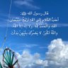 شبه متفائله profil fotoğrafı