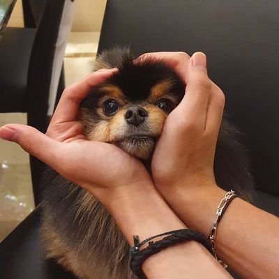JeabJeabJKTH's profile picture
