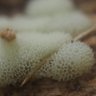 Фото профиля Pickey Jr
