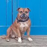 Lochie's profile picture