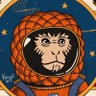 Gustavo Molvert's profile picture