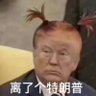 el pepo 的头像