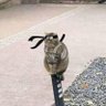 stoink 的头像
