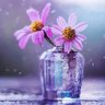 αмaℓ profil fotoğrafı