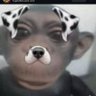 Peppu_henryque 的头像