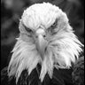 Profilbild von FreedomOverSafety