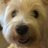 Profilbild von Lily