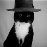 ٴ's profile picture