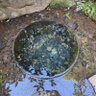 Фото профиля はちぶんぶん