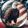 Bale 🇺🇸 的头像