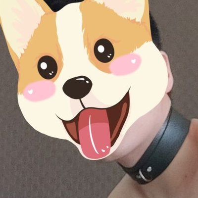 高贵混血女高的贡奴's profile picture