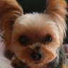 ちょい悪親父ですー's profile picture