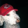 Murph profil fotoğrafı