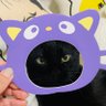 Profilbild von ゆめこ