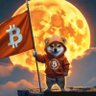 Tom Hodges's profile picture