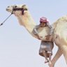 محمد الدوسري's profile picture