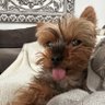 crashoutqueen profil fotoğrafı