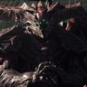 Profilbild von Oryx