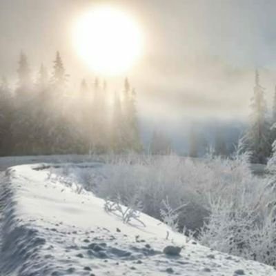Envierno Frtr's profile picture