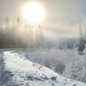 Envierno Frtr profil fotoğrafı