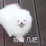bopi00's profile picture