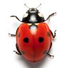Spontanhidup profil fotoğrafı