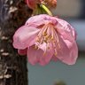 蒼井優 profil fotoğrafı