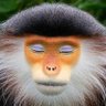 NunC's profile picture