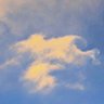 頑張ろう。希望の明日へ☆ profil fotoğrafı