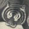 明日の君は君が作るんだ's profile picture