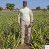 Lewis Mdogo's profile picture